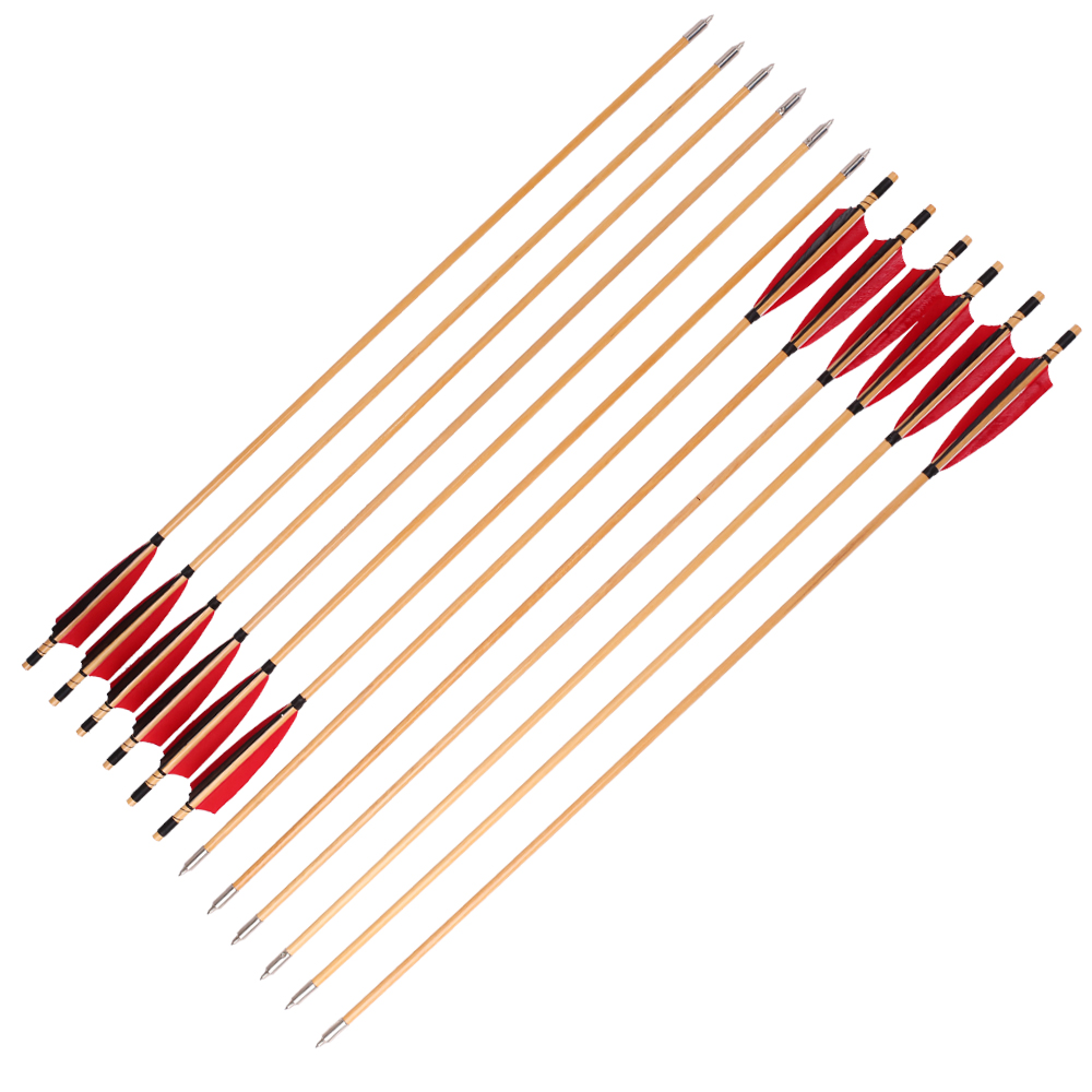 6/12/24 Pezzi Frecce Tradizion - Archery Target Face recensione e prezzo