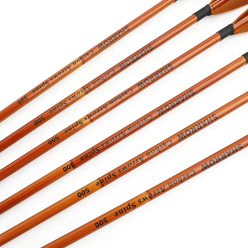 6/12 pezzi di frecce in carbon - Archery Target Face recensione e prezzo